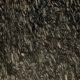 Indian Granite Supplier
