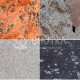 Best Granite For Kitchen Countertops