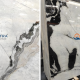 Panda White Marble marble in India