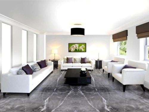 cool-grey-2-1024x720